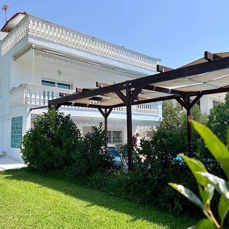 Villa Vave Неа Ираклия Екстериор снимка